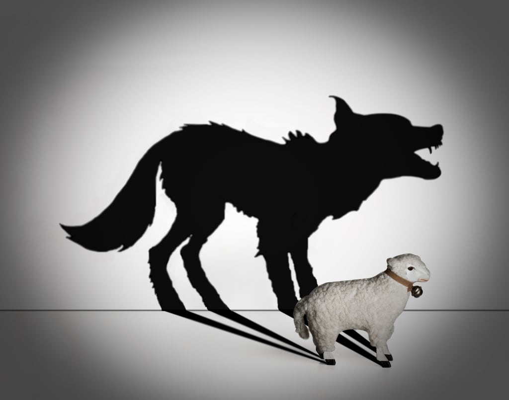 wolf in sheeps clothing