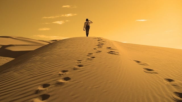 lone traveler