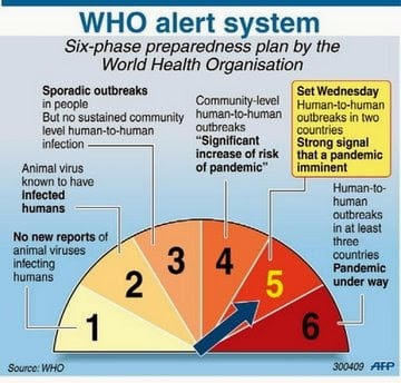 Swine flu - WHO alert system (AFP)